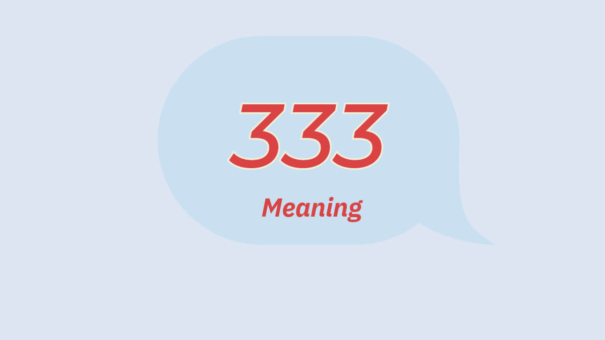 333 mean in Text
