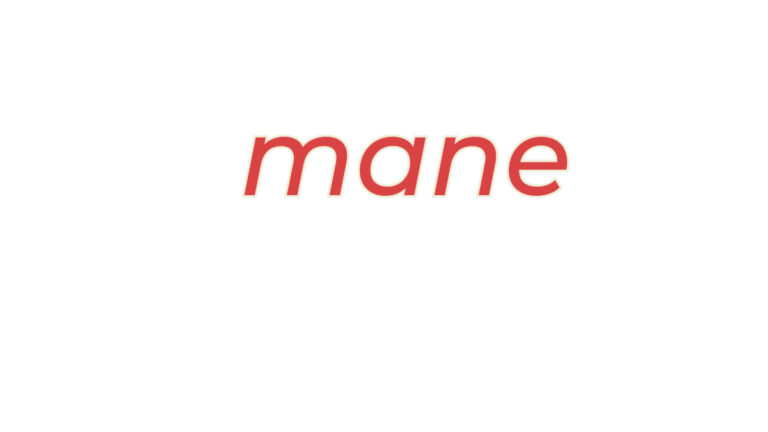 What Does Mane Mean In Texting? Ultimate Guide to Understanding and Using It